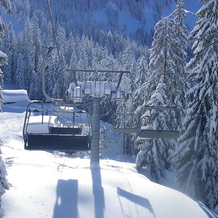 Haus Auni Metzgermeister Westendorf Luaran gambar